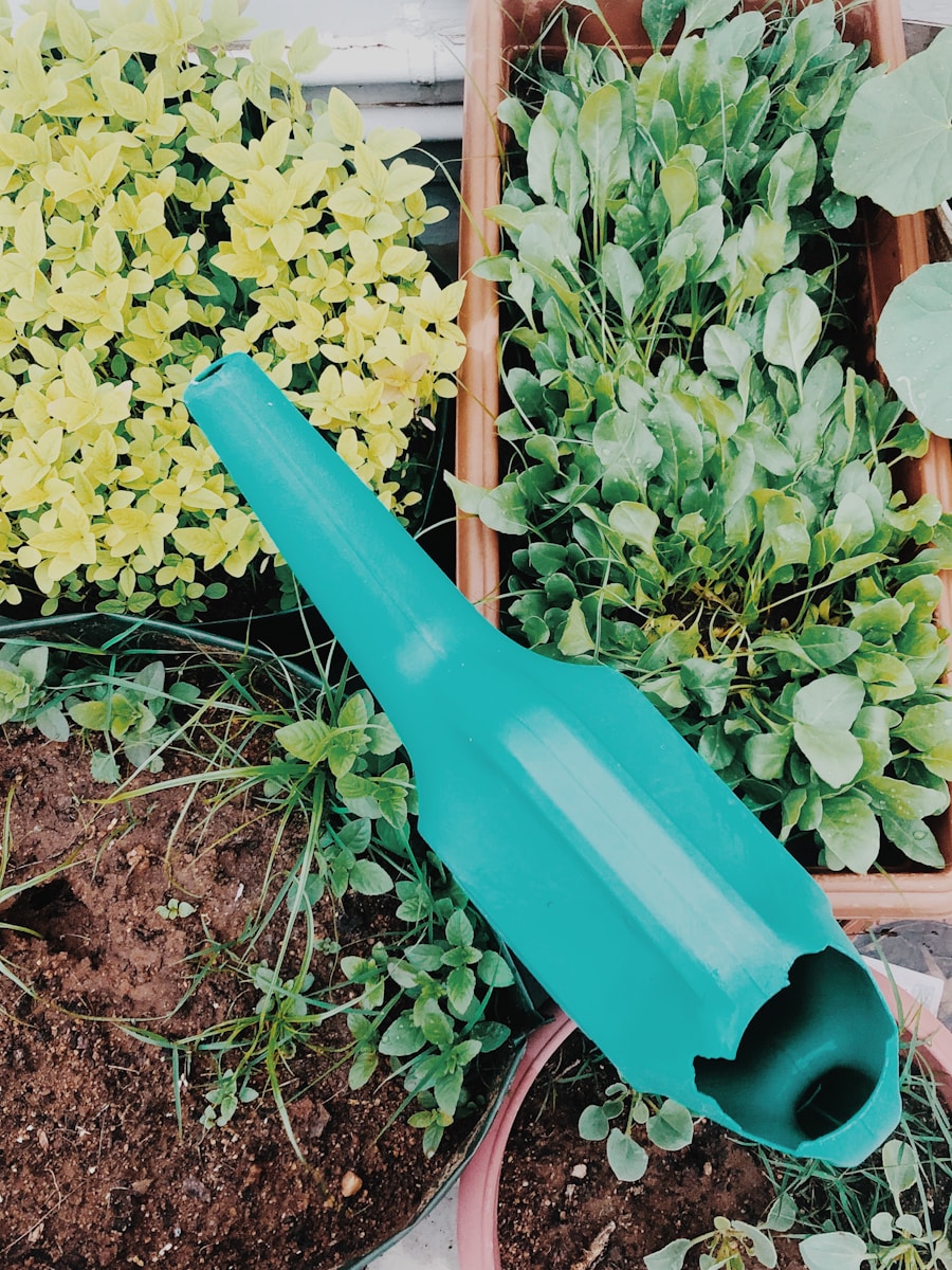 Photo "The best gardening hand tools for beginners"