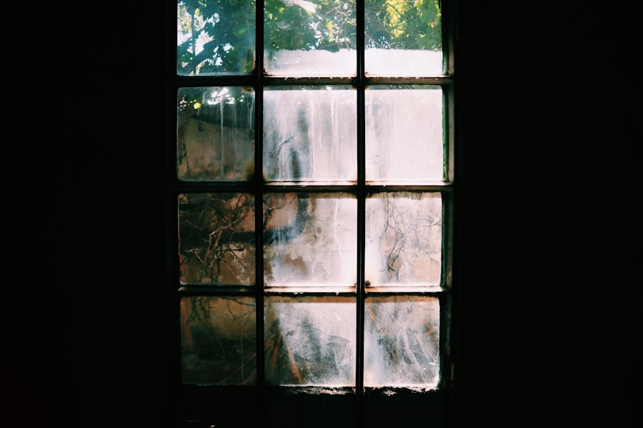 Sunny window