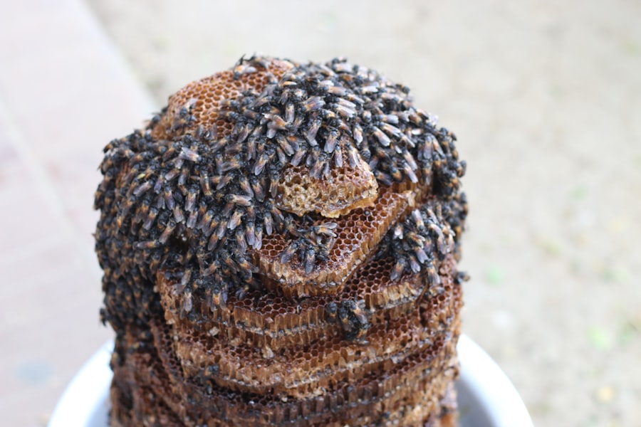 Worm composting bin