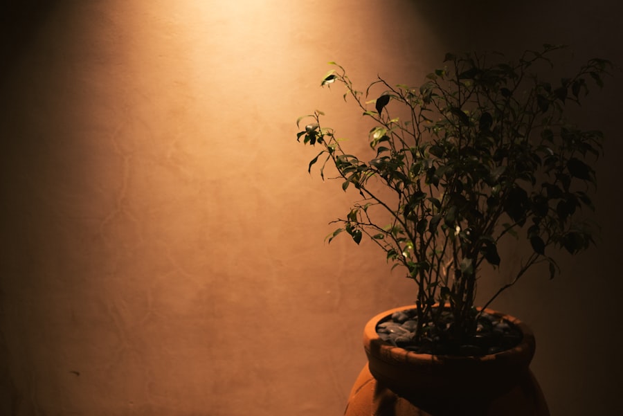Photo Grow lights