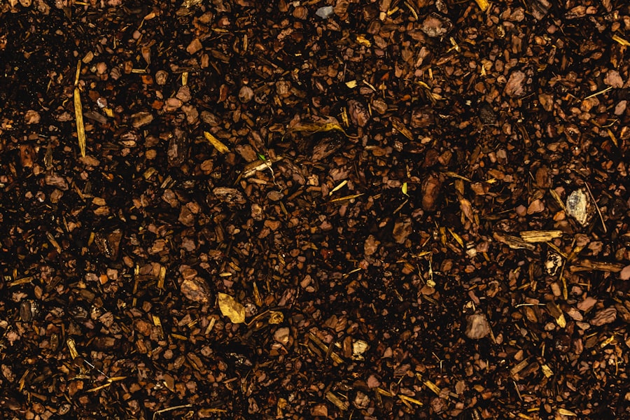 Photo Wood chips