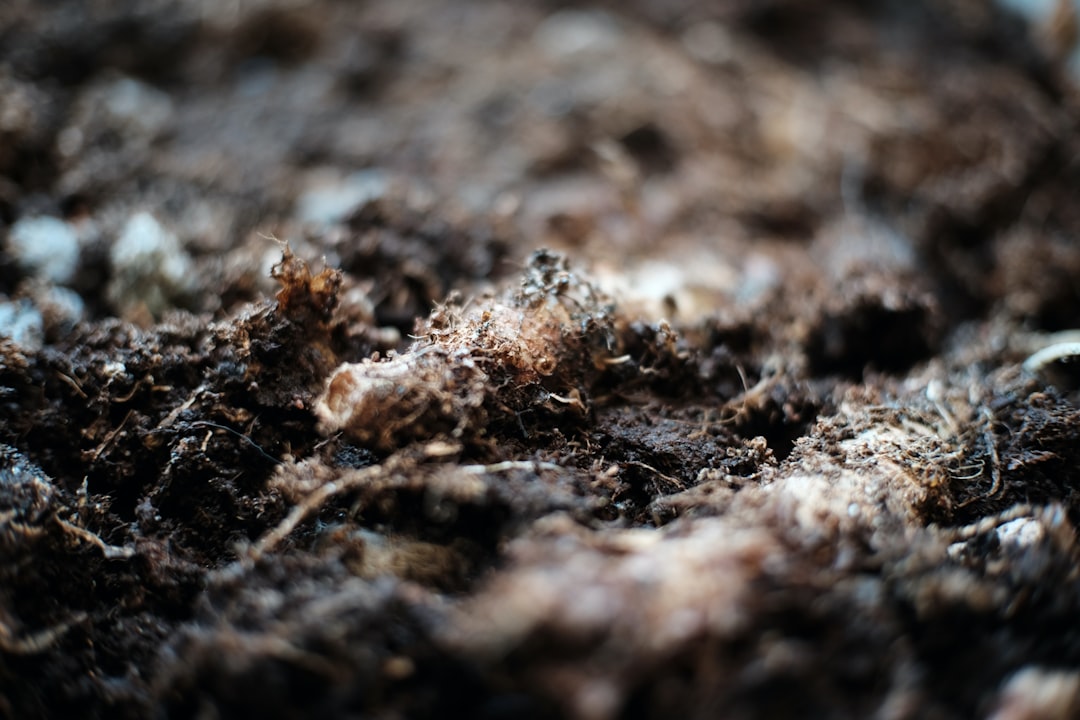 Photo Soil test kit