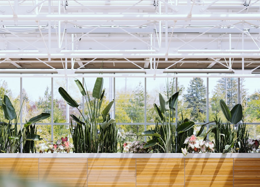 indoor vegetable garden