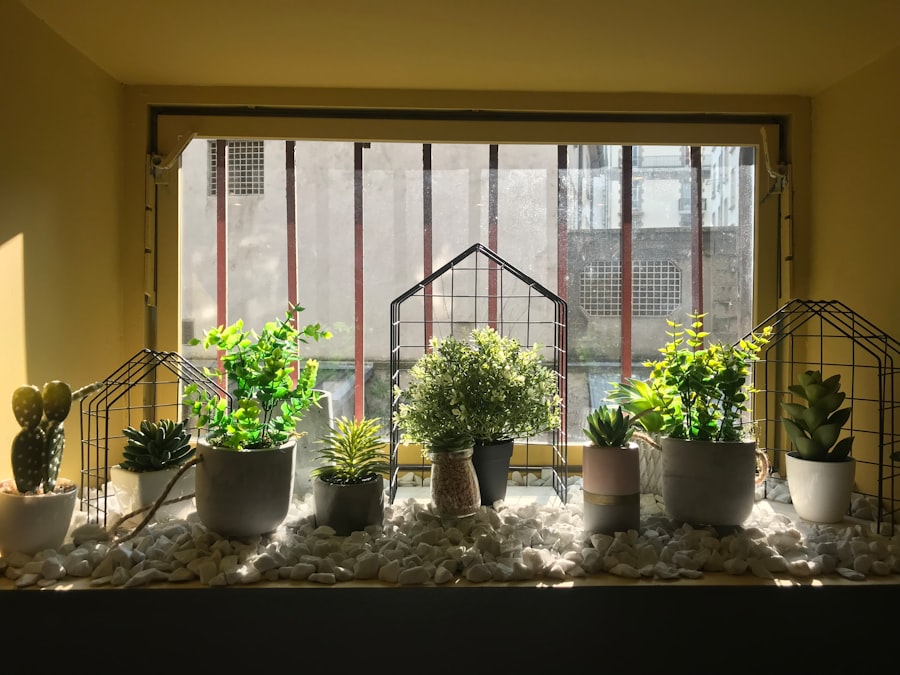 pruning indoor plants