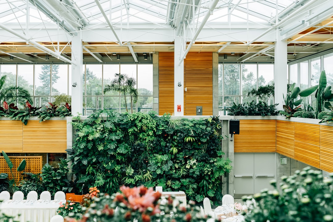 Photo indoor vegetable garden