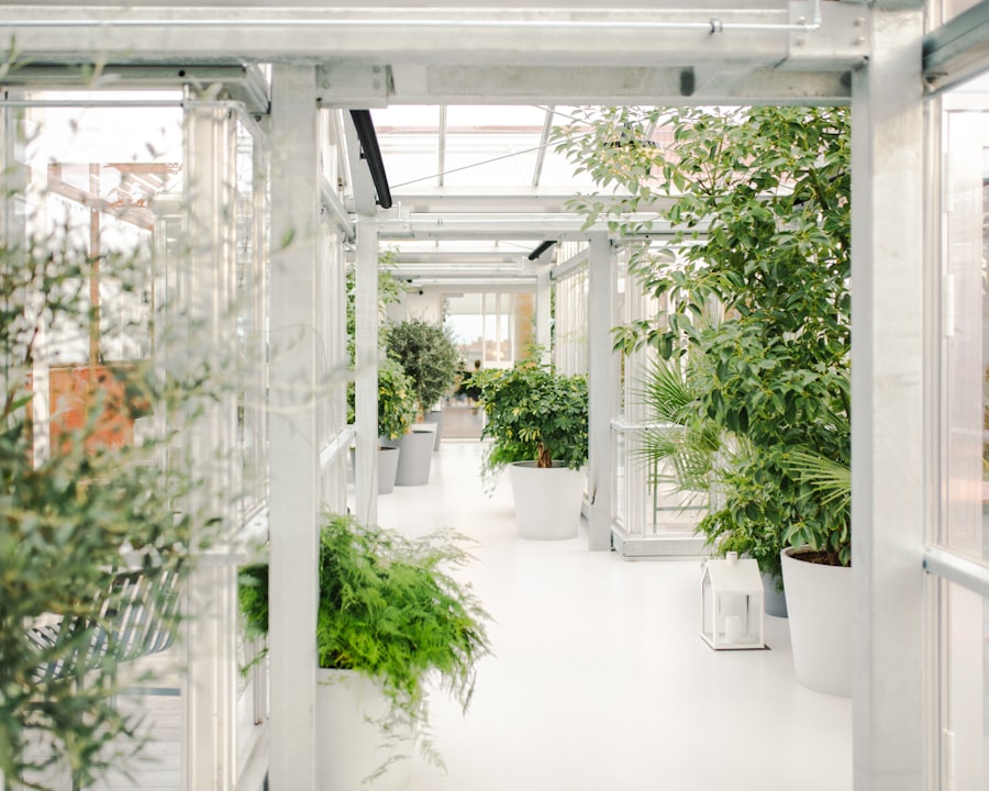 Photo indoor vegetable garden