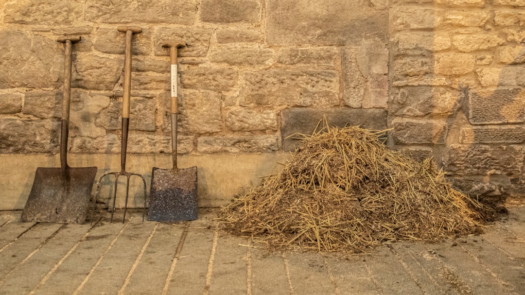 Photo garden spade