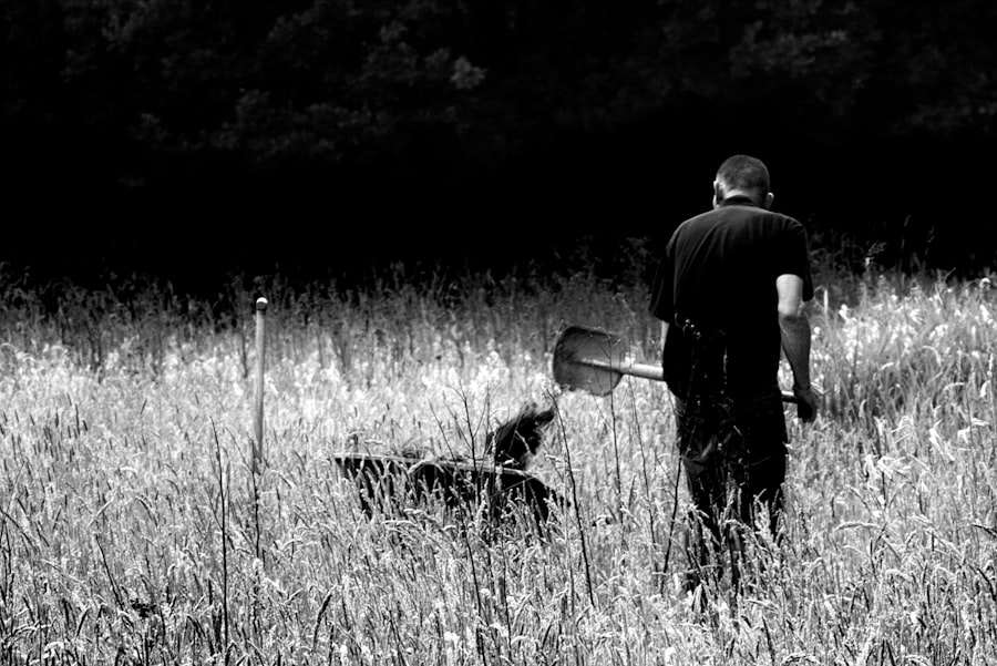 Photo garden spade
