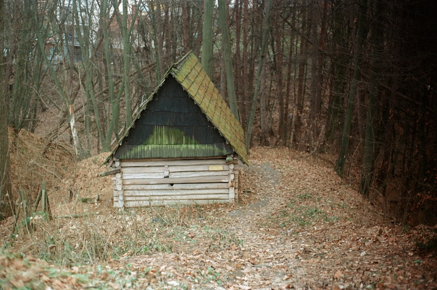 shed organization