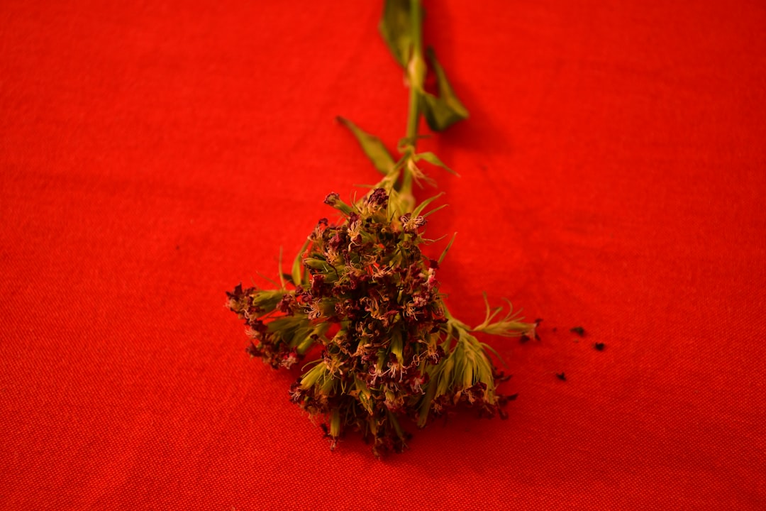Photo weed control