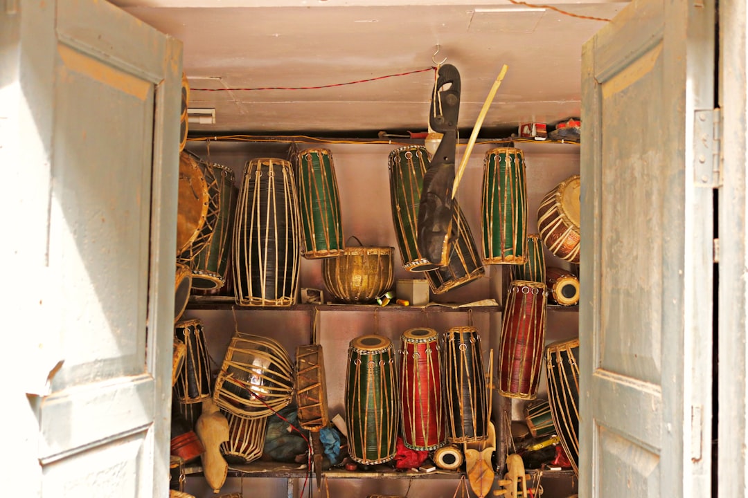 Photo shed organization