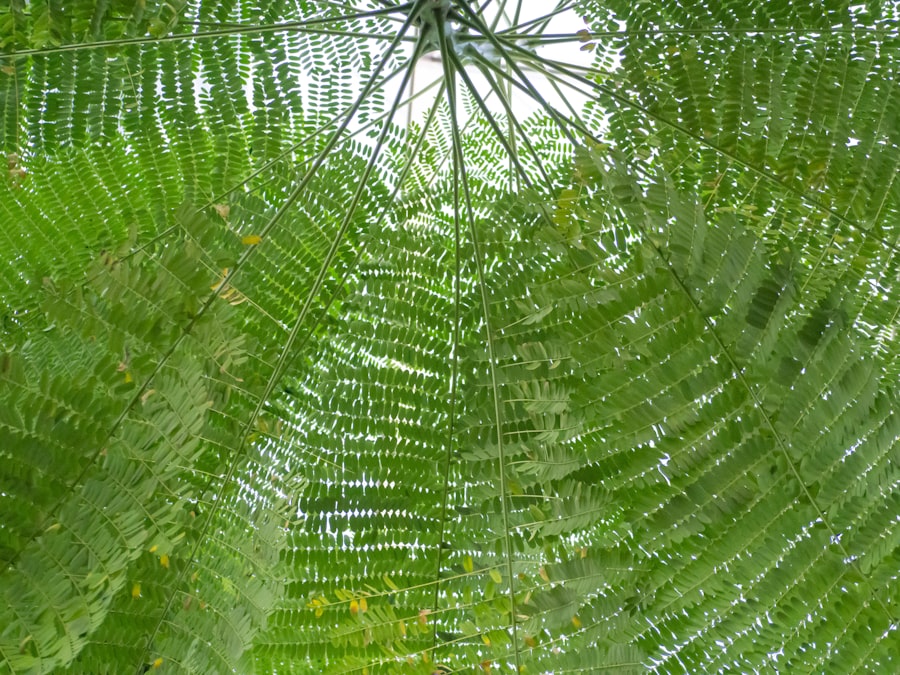 hydroponic systems