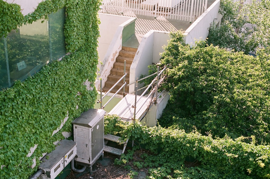 vertical vegetable garden