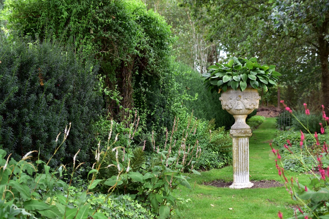 Photo container gardening