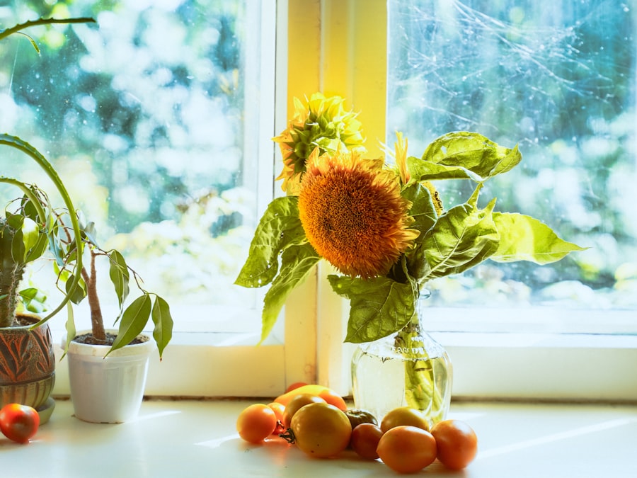 Photo fruits and vegetables indoors