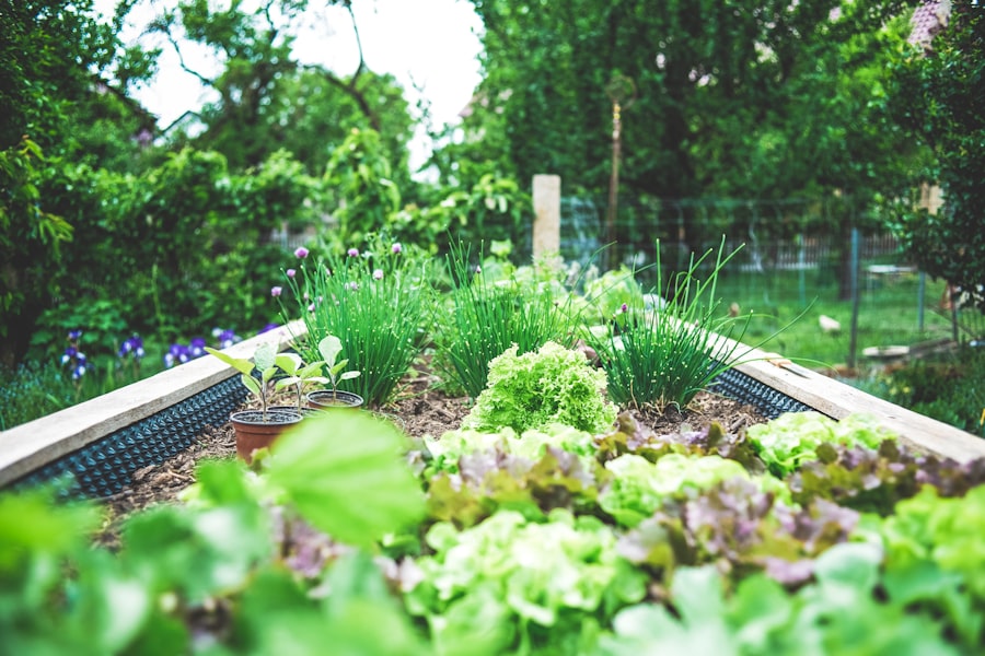 Photo gardening